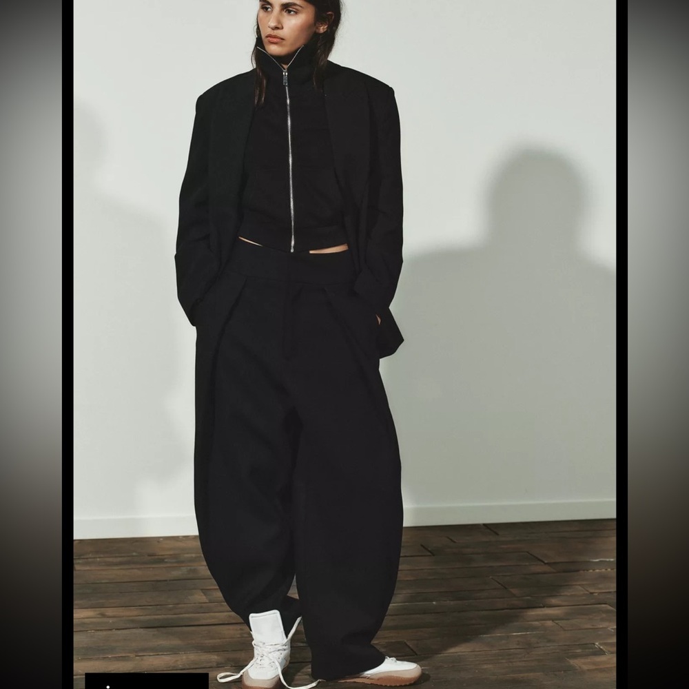 Zara pleated barrel pants